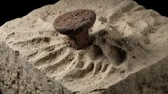 Reperti impossibili: metalli antichi incastonati nella pietra e i misteri dell’archeologia